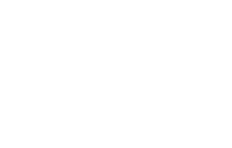shnit Worldwide Shortsfestival
