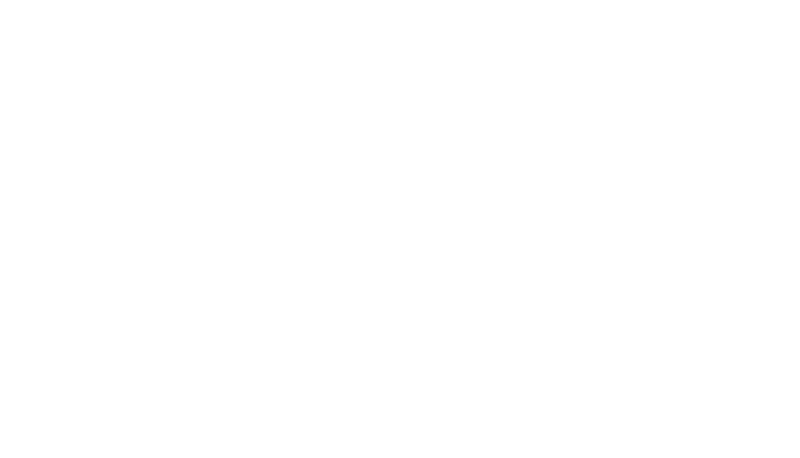 Stony Brook Film Festival